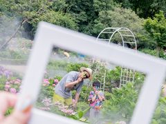 -共青国家森林公园-售票处