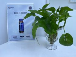 -斐尔国际皮肤管理中心