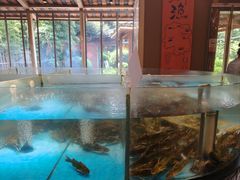 -耕渔小院·湖南鱼鲜(望城店)