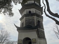 -苏州上方山国家森林公园
