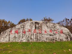 -上海海湾国家森林公园