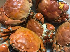 -喜洋洋蟹庄(阳澄湖店)