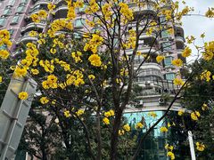 -珠江夜游天字码头