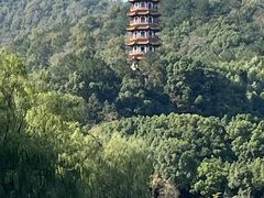 -天下玉苑