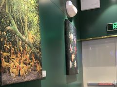 -烹然四季椰子鸡火锅(姚家园万象汇店)