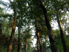 -山东大学(洪家楼校区)