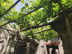 -康百万庄园