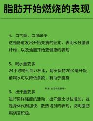 -Fundi张玉珊修身堂·indiba·BTL科技瘦身