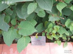 -广州神农草堂中医药博物馆