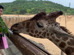 -杭州野生动物世界