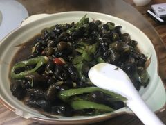 紫苏山坑螺-得福农庄