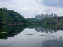 -重庆彩云湖湿地公园
