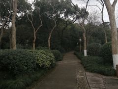 -楼外楼·停车场