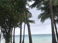 -Cha Cha's Beach Cafe