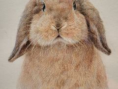 -江苏省美术馆(长江路新馆)