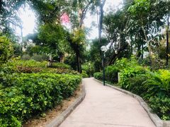 -九龙公园