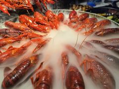 经典冰镇-红盔甲·小龙虾(天钥桥店)