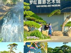-罗红摄影艺术馆