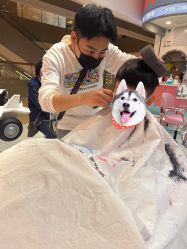 -星咔萌StarCamo儿童剪发(芳圆里IDMALL品牌形象店)