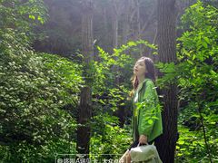 -大岭沟猕猴桃谷风景区