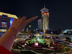 -海关大楼(陆家嘴街道)