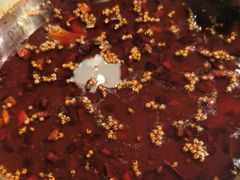 -味之绝热血美蛙鱼火锅(中坝店)