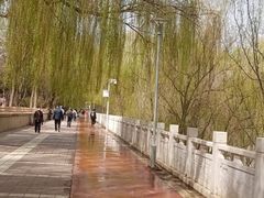 -水车博览园