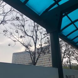 -苏州大学附属儿童医院(园区总院)