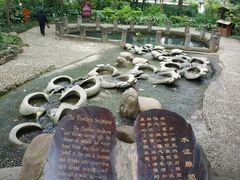 -成都市活水公园