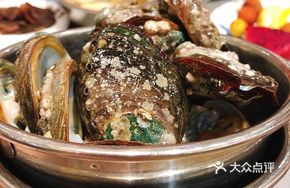 Abalone Freedom