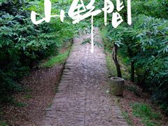 -西湖风景区十里琅珰-五云山