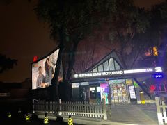 -枫花园汽车电影院(朝阳公园店)
