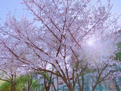 -三湘财富广场