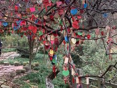 -宁波市保国寺古建筑博物馆