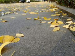 -两江幸福广场
