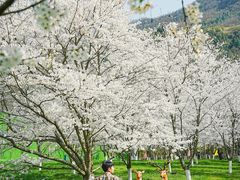 -高岚大峡谷旅游度假区