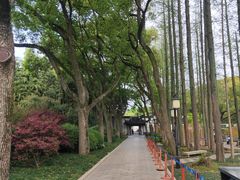 -上海醉白池公园