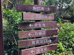 -杭州第一世界大酒店·云曼温泉
