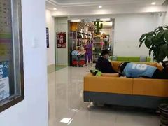 -北京观赏动物医院·24小时大型综合·猫专科·异宠专科