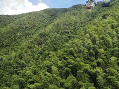 -天目湖松岭竹海漂流