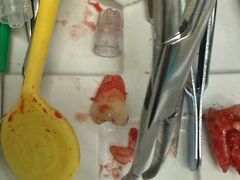 -上海市徐汇区口腔医院