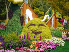 -上海共青森林公园