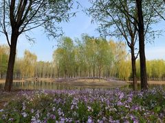 -东郊湿地公园