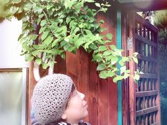 -呀路古热带植物园