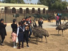 -恩格贝生态旅游区