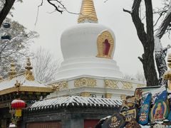 -护国法轮寺