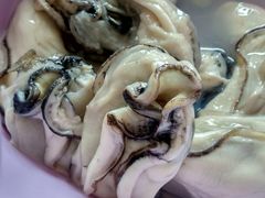 -蚝乡农庄(铁涌赤岸店)