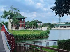 -王借岗森林公园