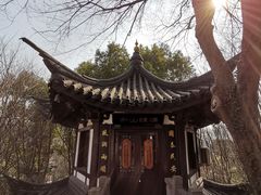 -上海佘山国家森林公园西佘山园