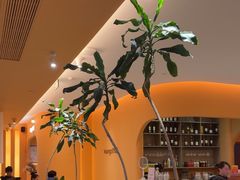 -美泰·Mangothai·清迈云街(天空之城店)